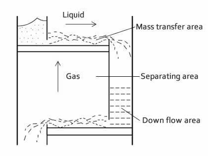 Un dibujo muestra la distribución de líquido y gas y el proceso de transferencia de masa.